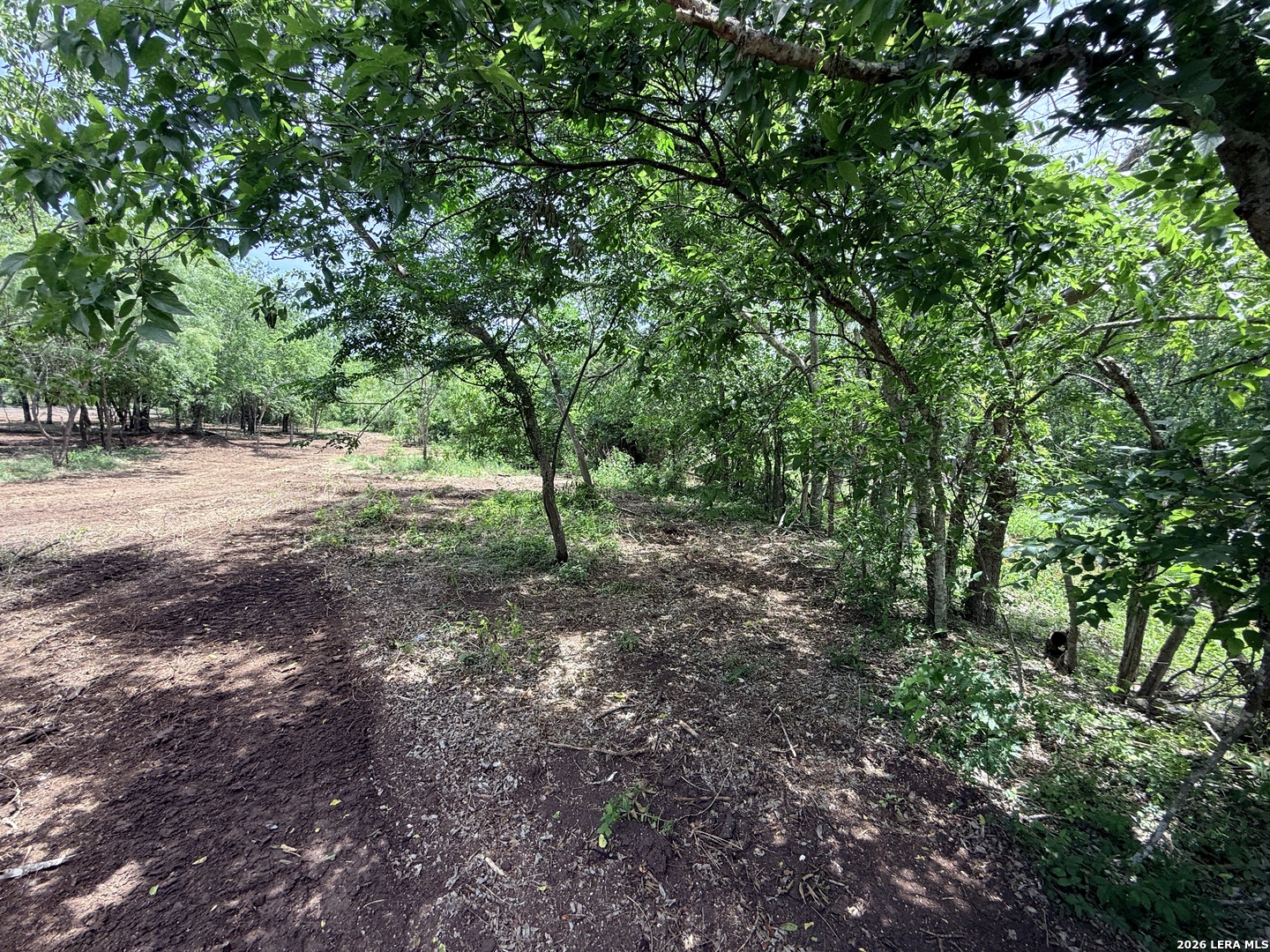 1 Acre Fm 471 Natalia TX 78059
