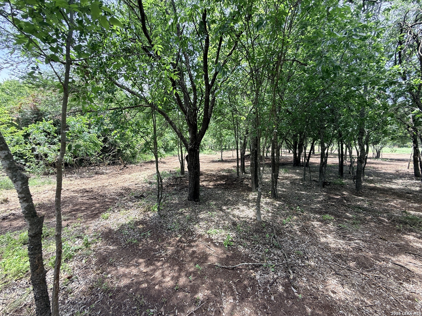 1 Acre Fm 471 Natalia TX 78059