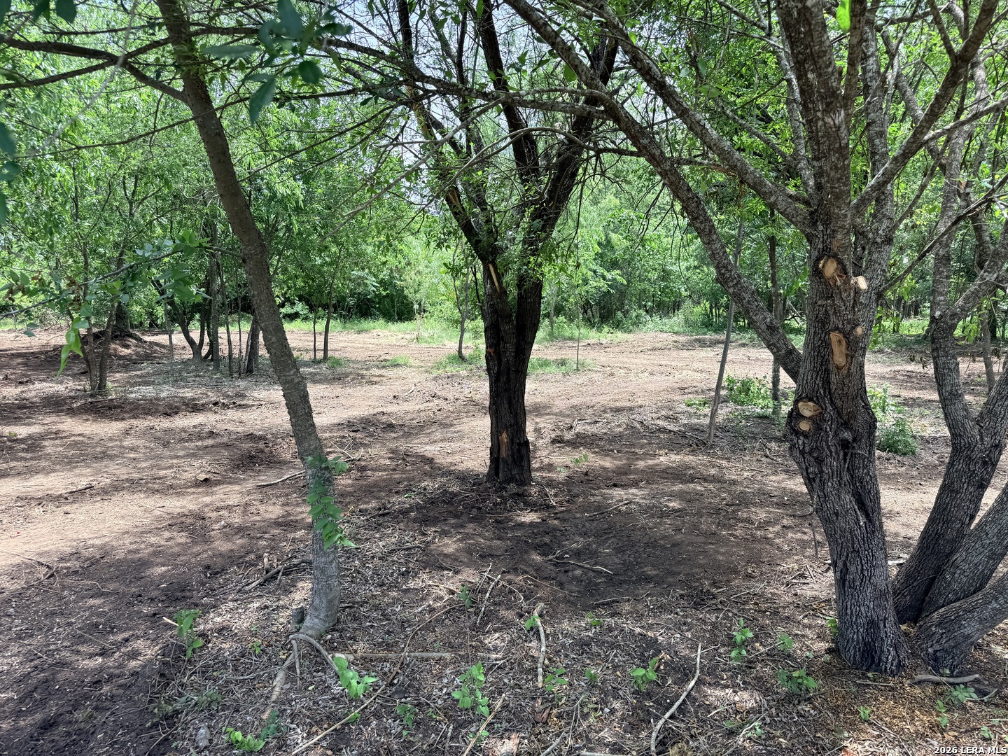 1 Acre Fm 471 Natalia TX 78059