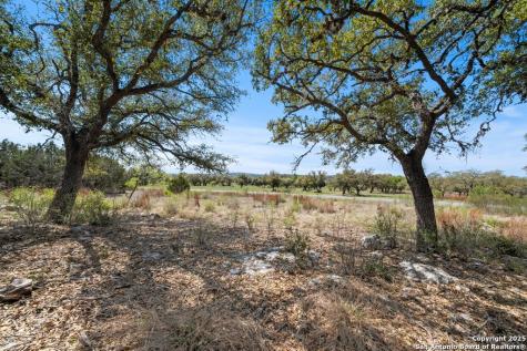 336 River Cliff Spring Branch TX 78070