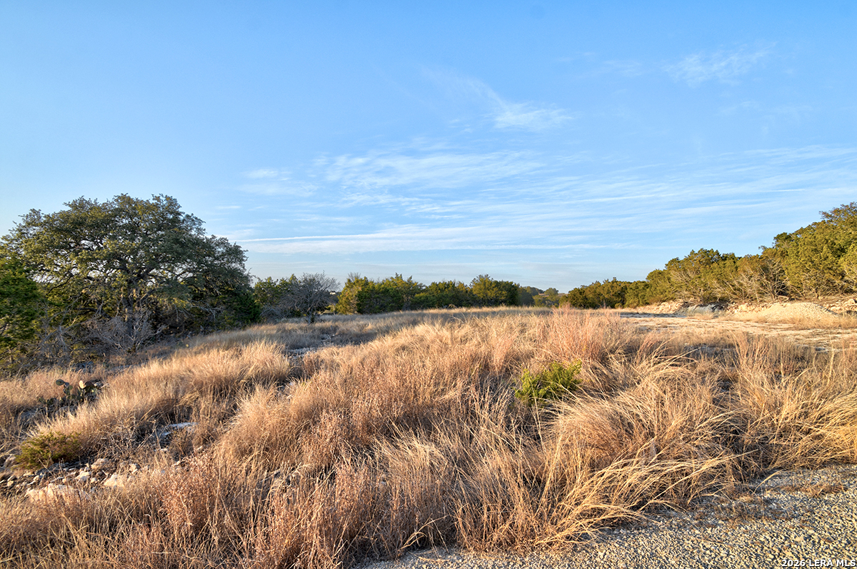 1045 S Shapen Springs Kerrville TX 78028