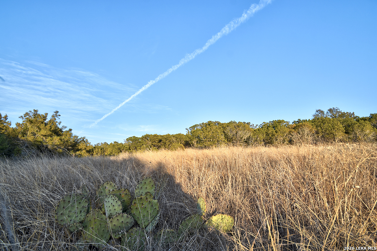 1045 S Shapen Springs Kerrville TX 78028
