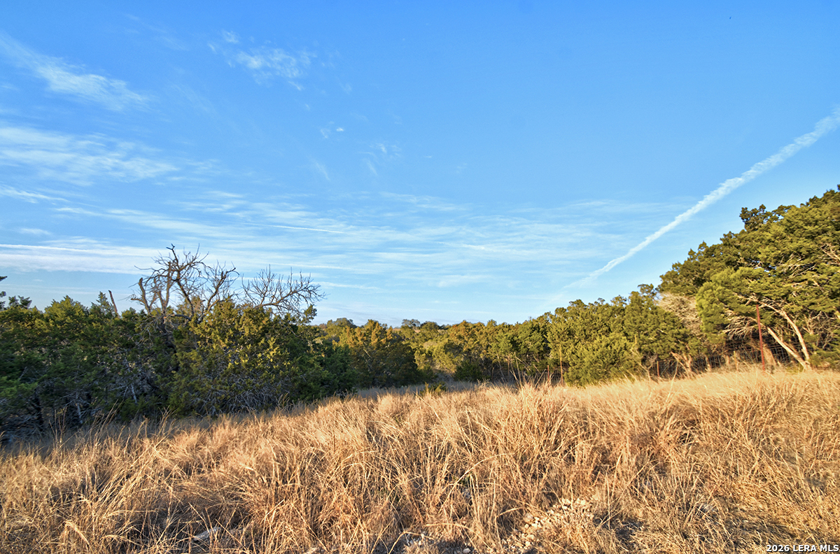 1045 S Shapen Springs Kerrville TX 78028