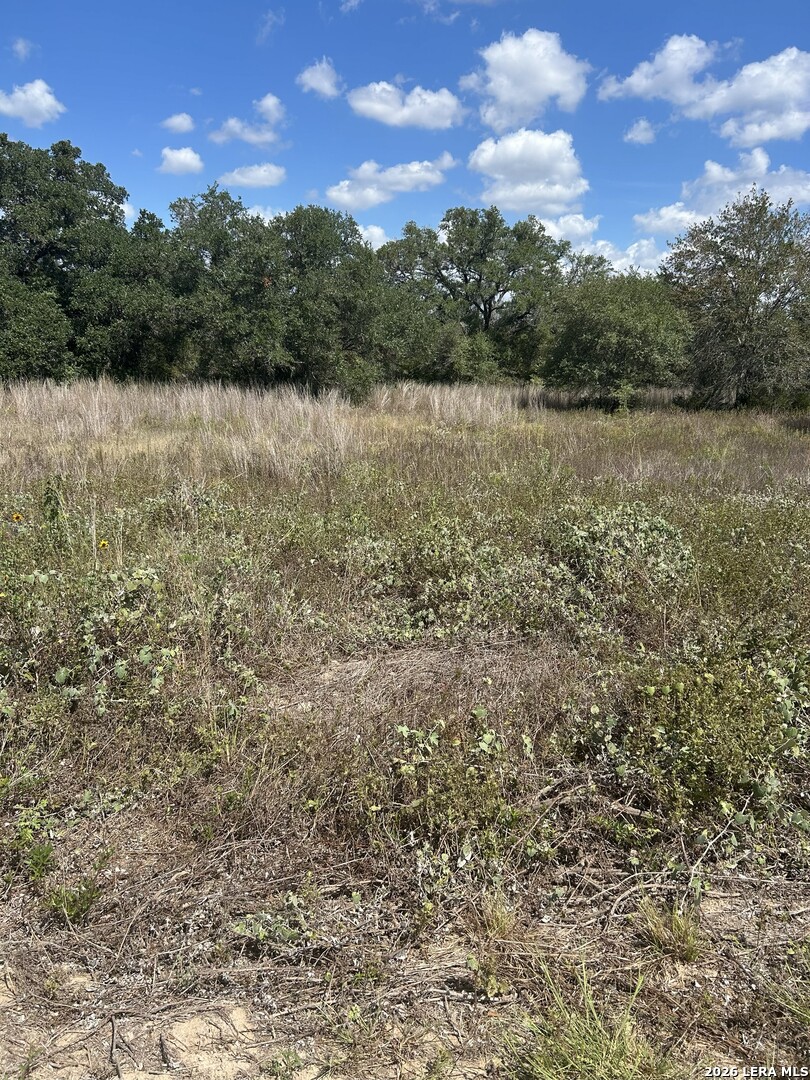 207 Charcoal Company Lane Muldoon TX 78949