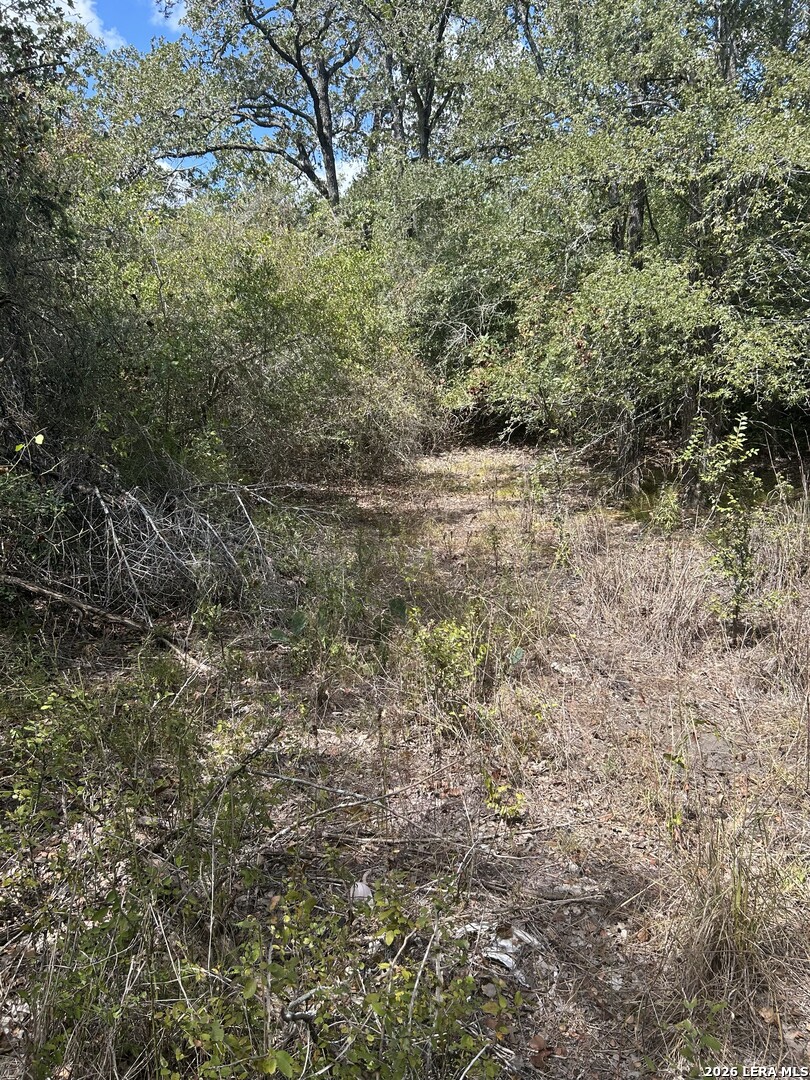 207 Charcoal Company Lane Muldoon TX 78949