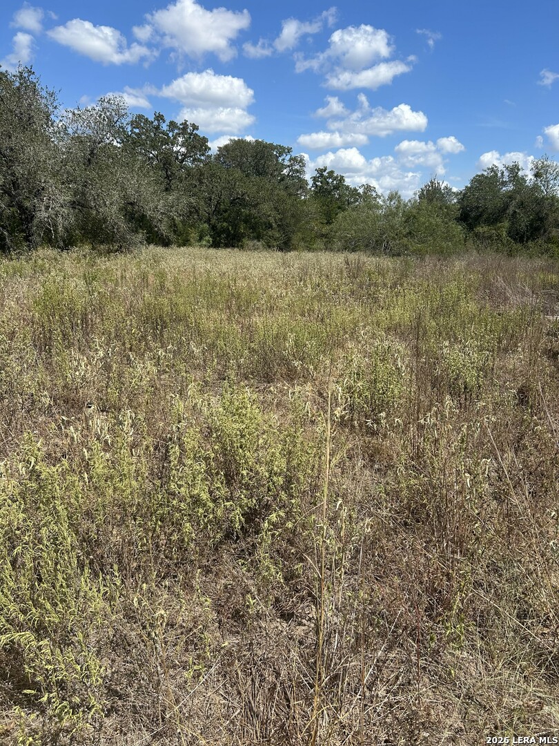 207 Charcoal Company Lane Muldoon TX 78949