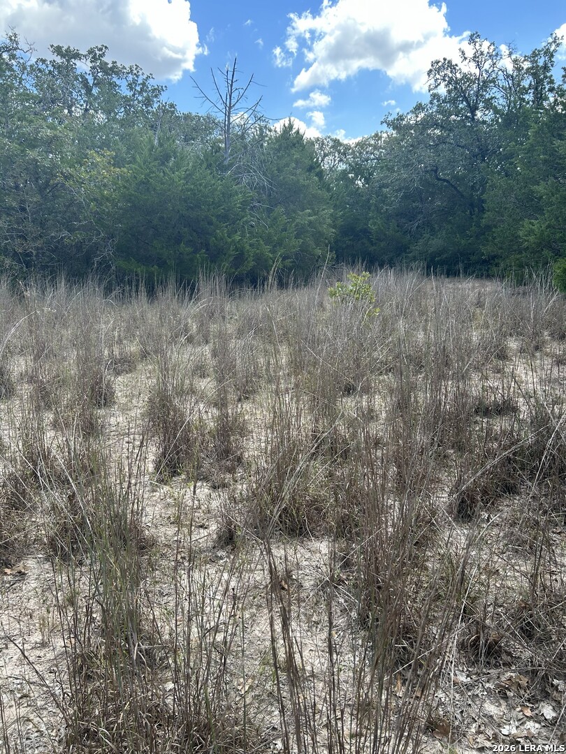 207 Charcoal Company Lane Muldoon TX 78949