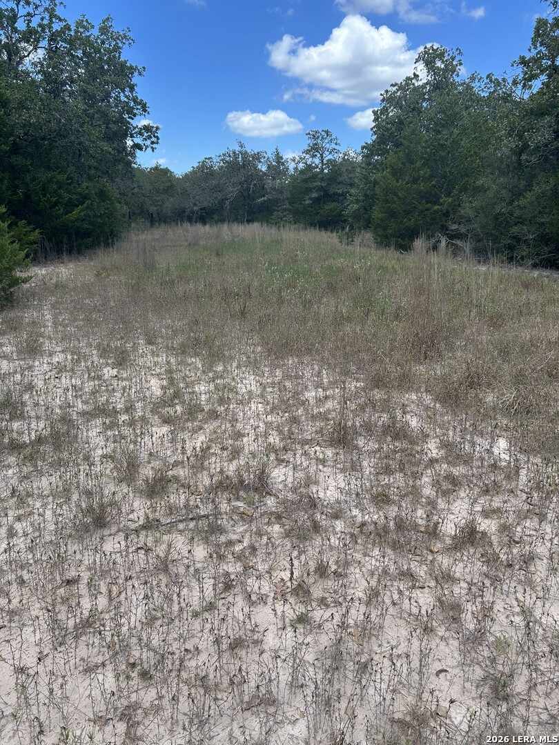 207 Charcoal Company Lane Muldoon TX 78949