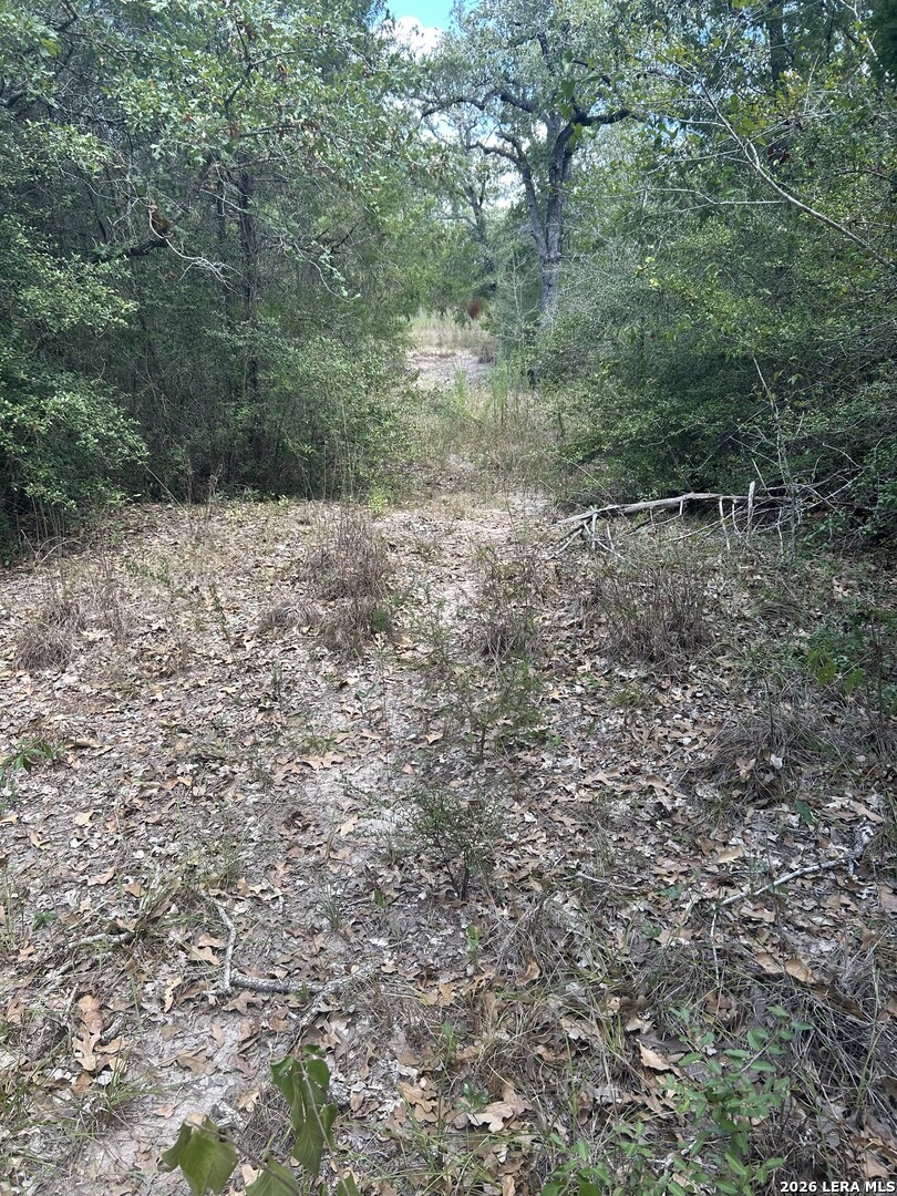 207 Charcoal Company Lane Muldoon TX 78949