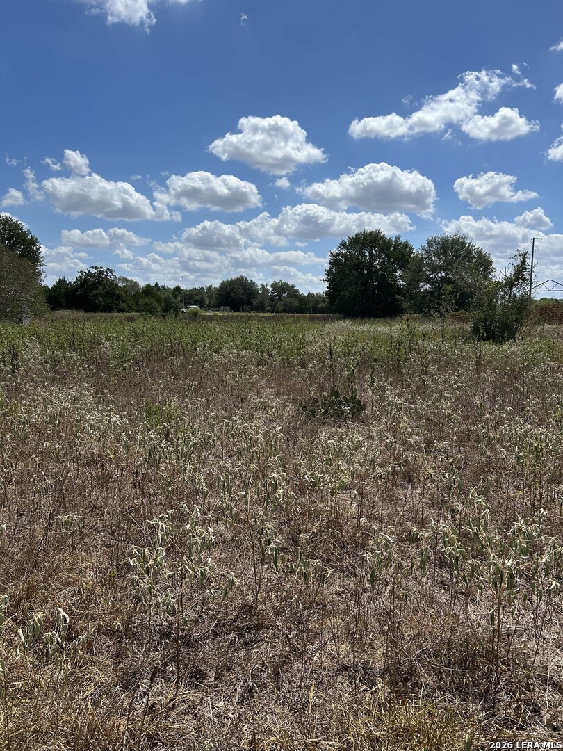 207 Charcoal Company Lane Muldoon TX 78949