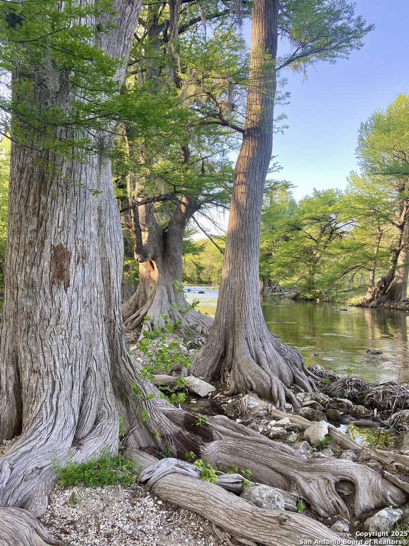 1160 Whispering Water Spring Branch TX 78070