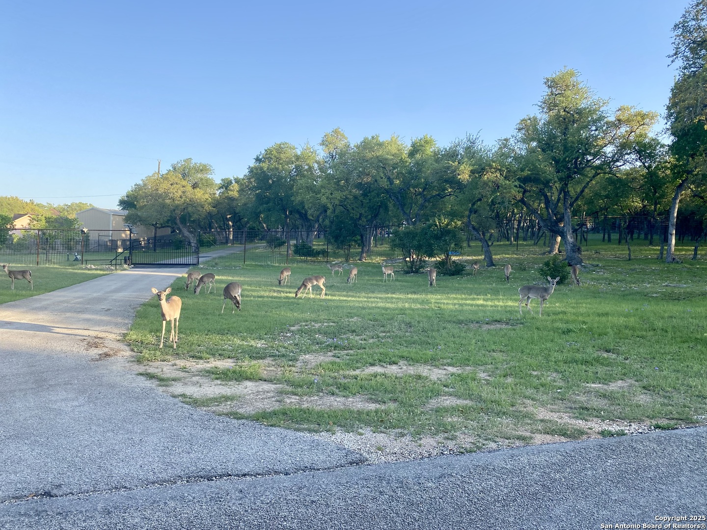 1160 Whispering Water Spring Branch TX 78070
