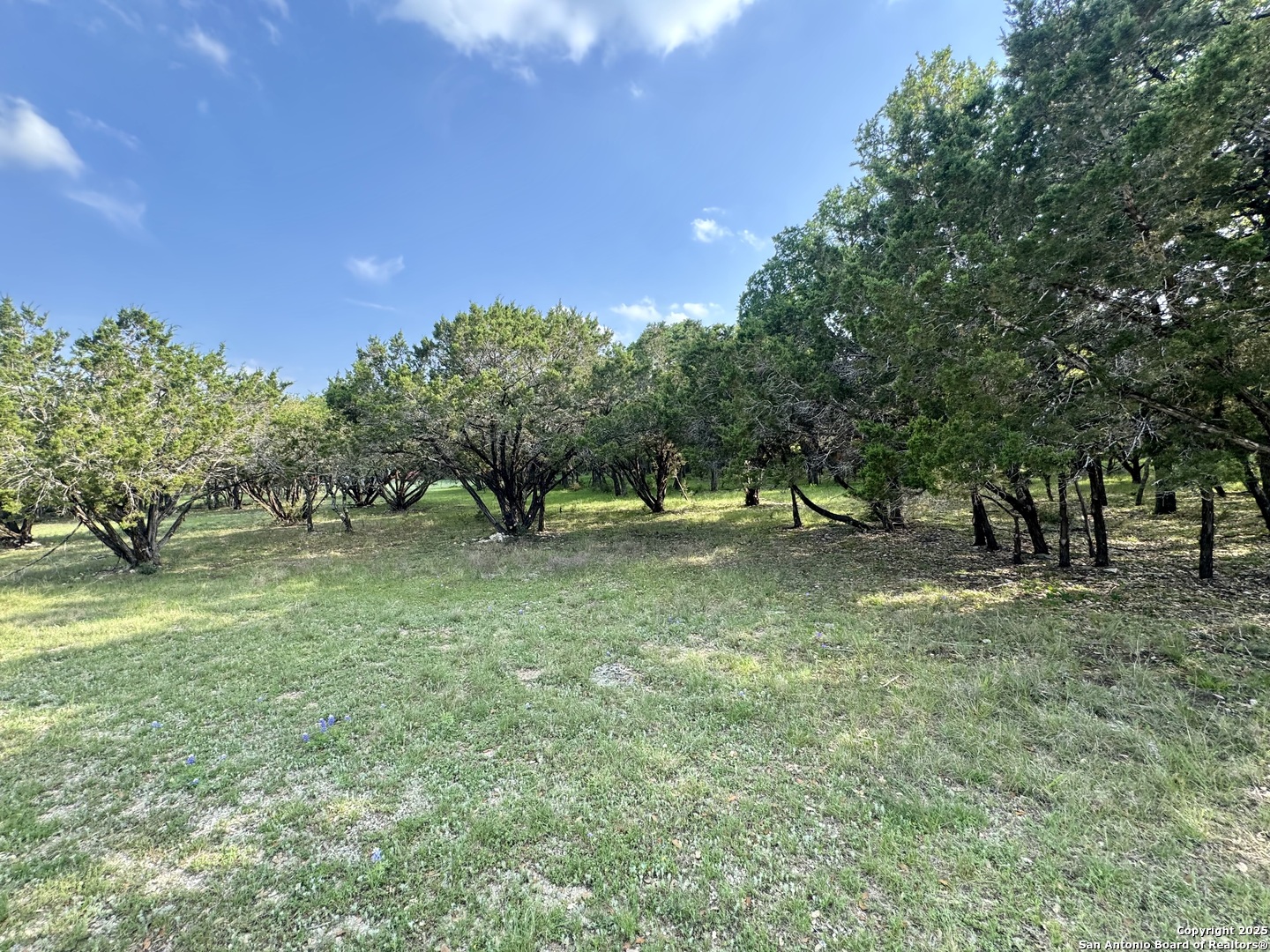 1160 Whispering Water Spring Branch TX 78070