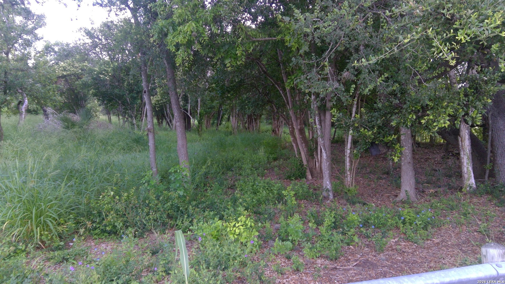 483 Oak Knoll Drive San Antonio TX 78228