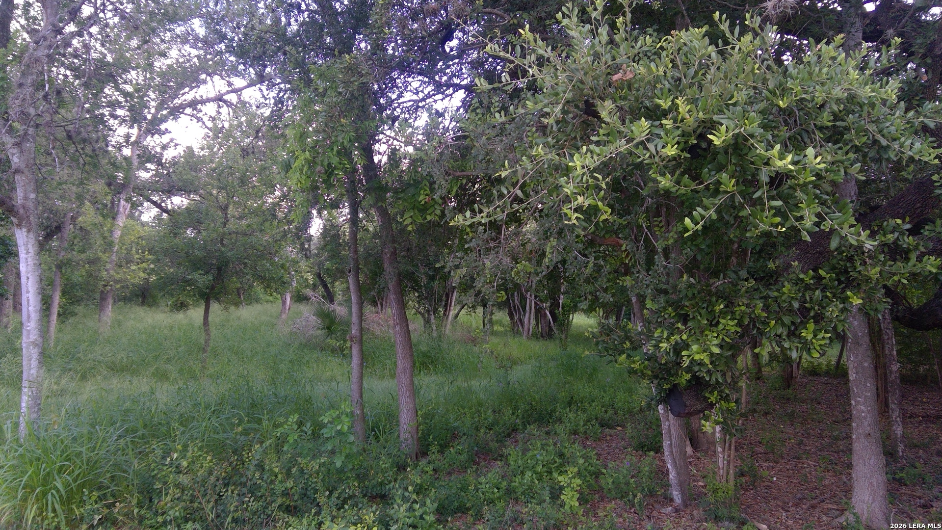 483 Oak Knoll Drive San Antonio TX 78228