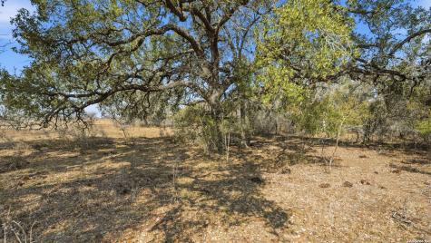 TBD Hohn Road Nordheim TX 78141