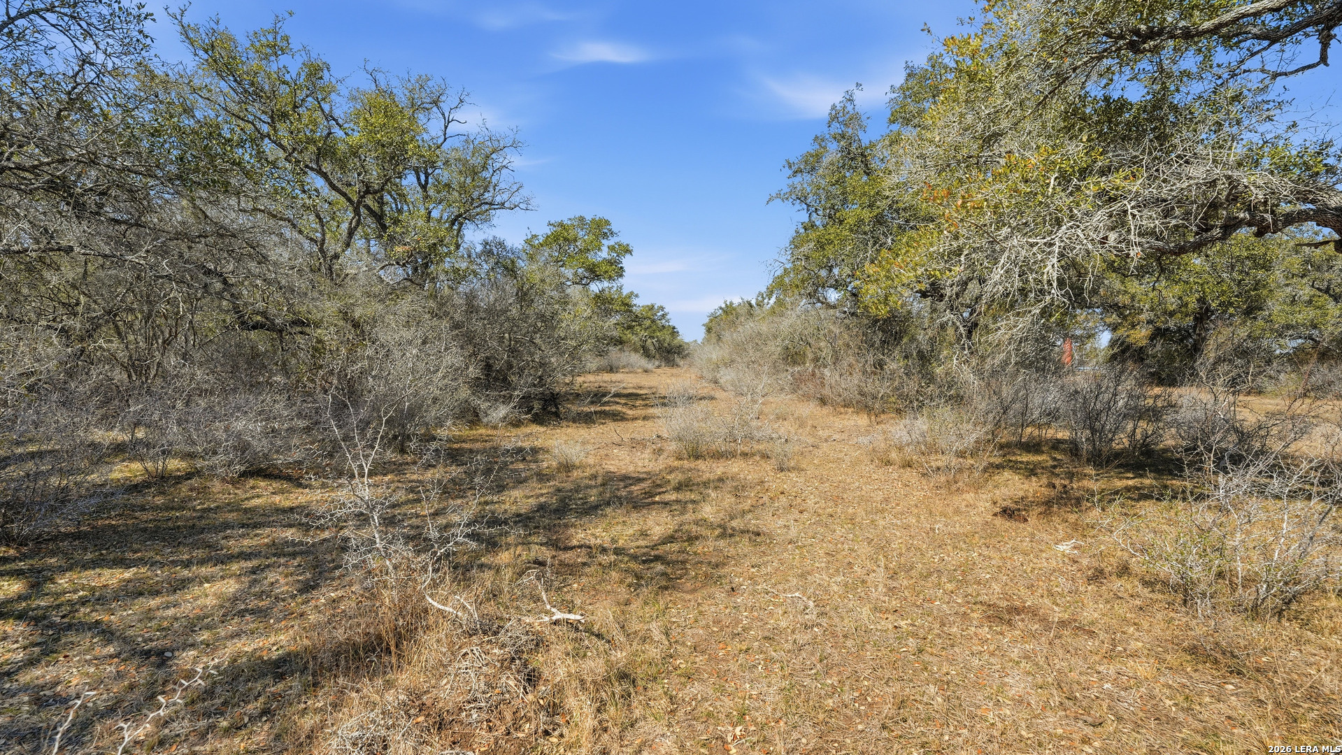 Tbd Hohn Road Nordheim TX 78141