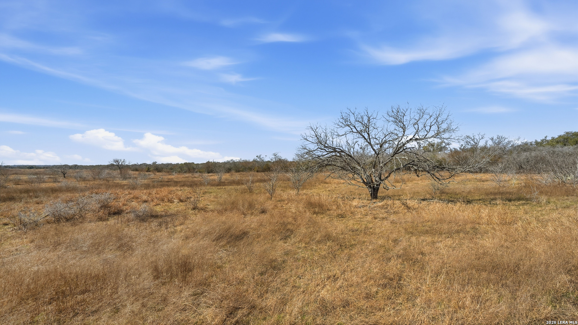 Tbd Hohn Road Nordheim TX 78141