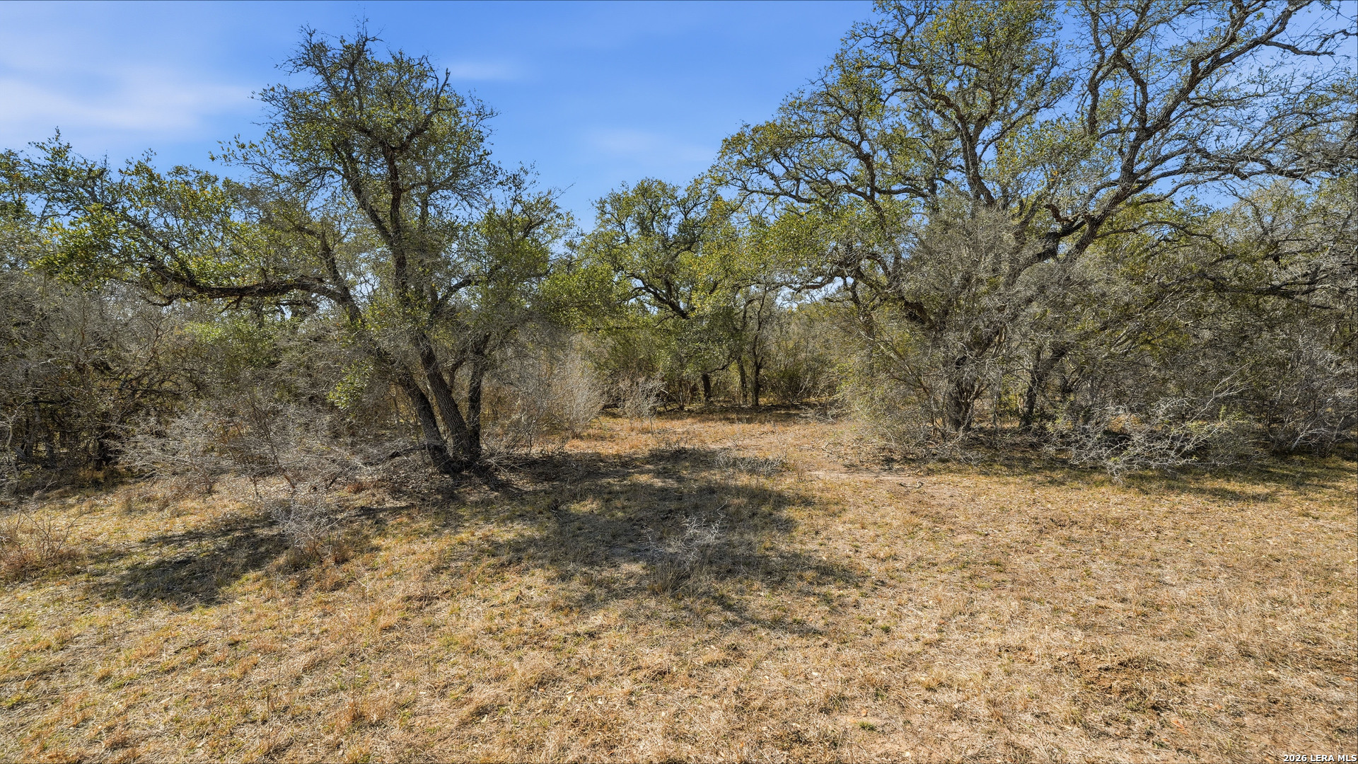 Tbd Hohn Road Nordheim TX 78141