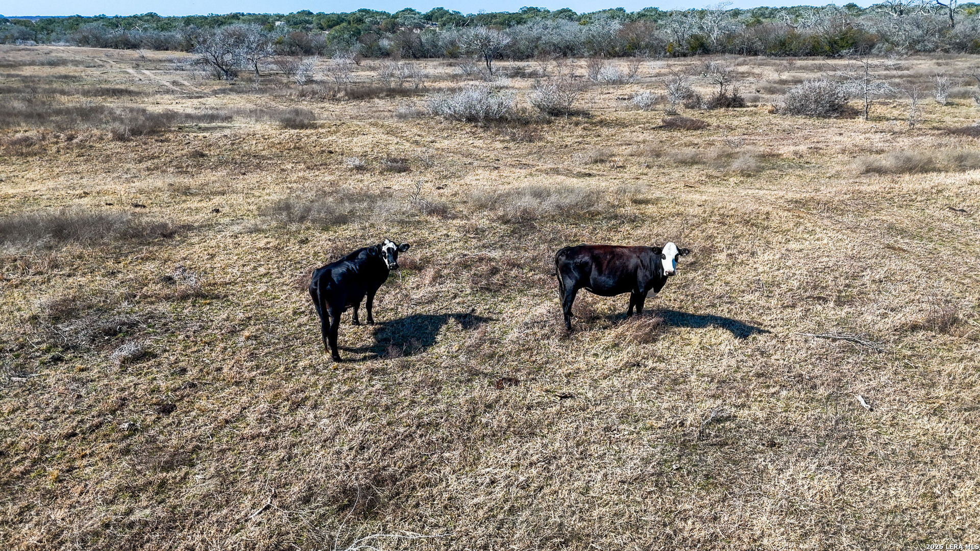 Tbd Hohn Road Nordheim TX 78141
