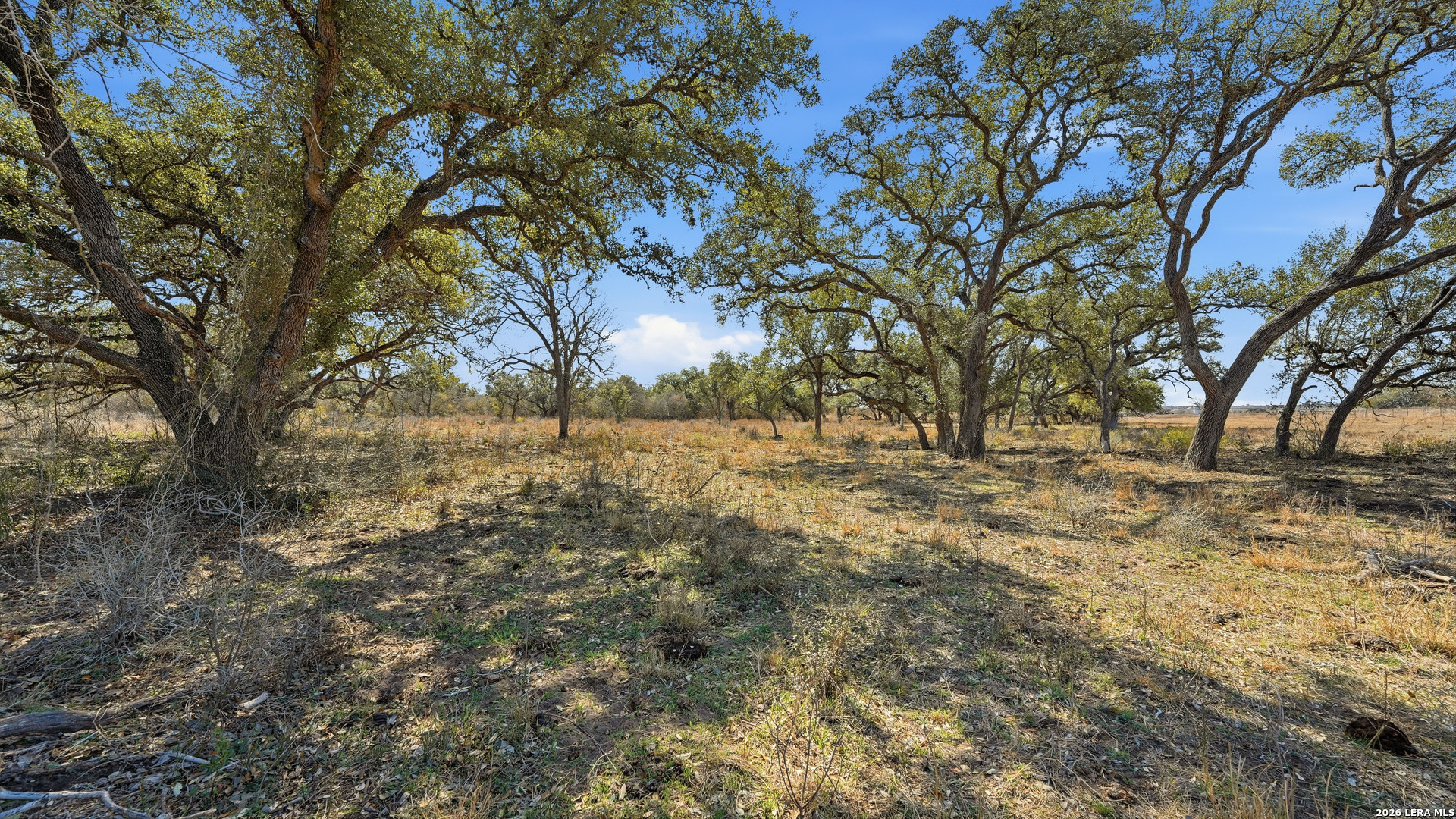 Tbd Hohn Road Nordheim TX 78141