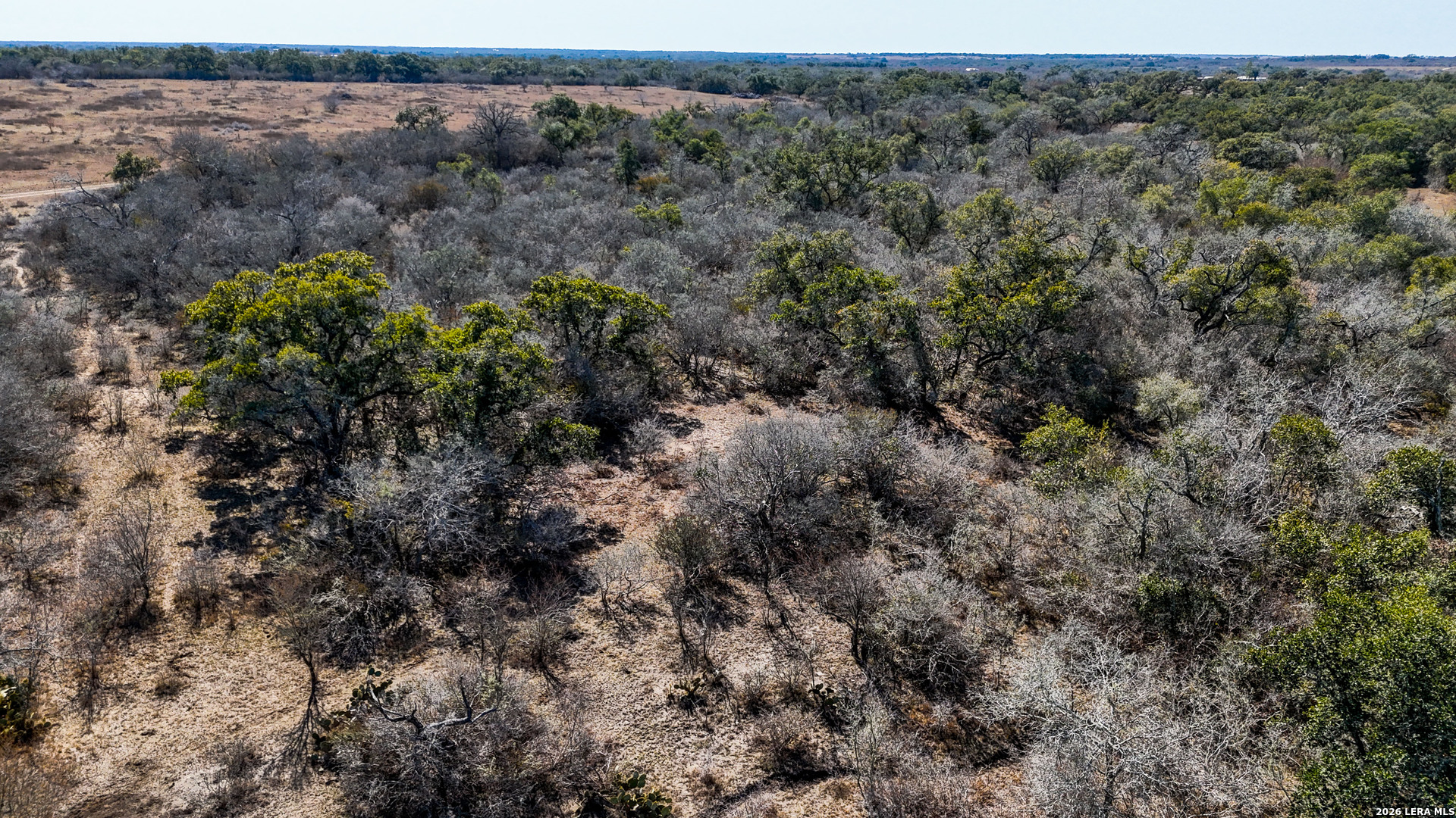 Tbd Hohn Road Nordheim TX 78141