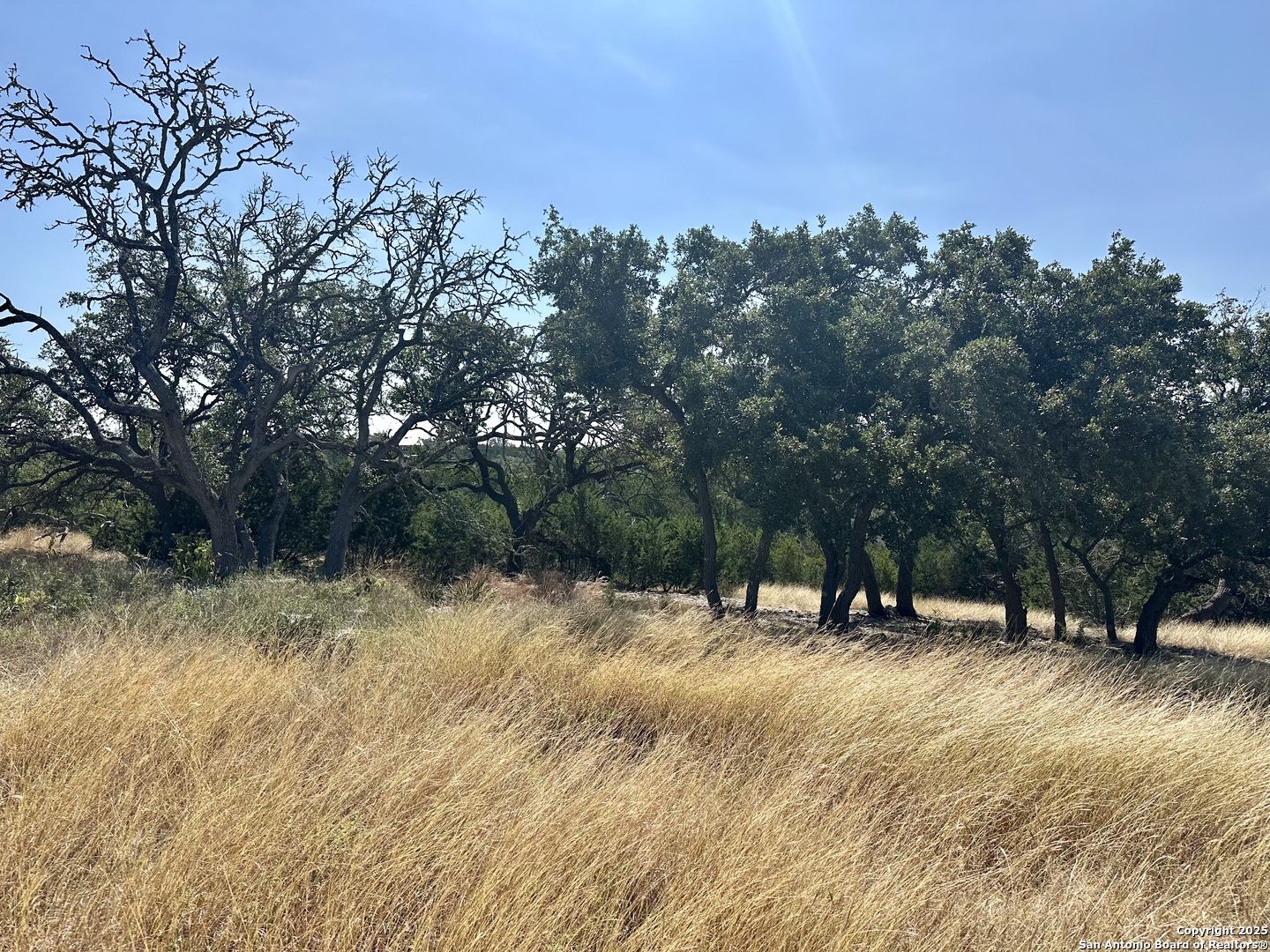 0 Acorn Alley Kerrville TX 78028