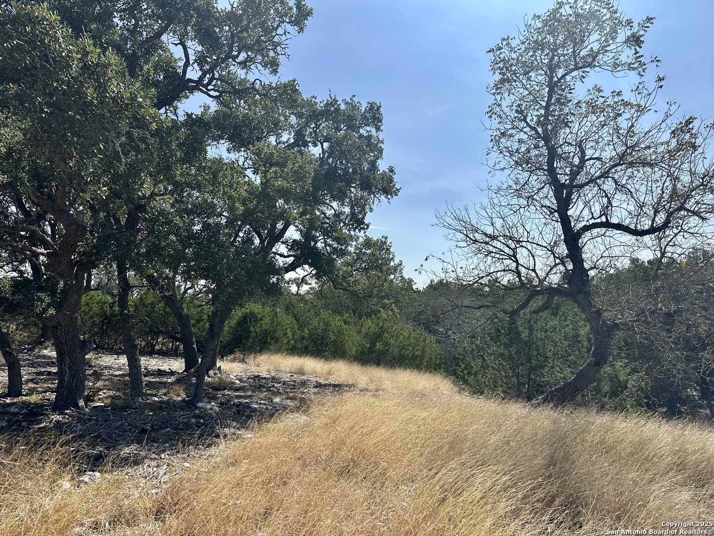 0 Acorn Alley Kerrville TX 78028
