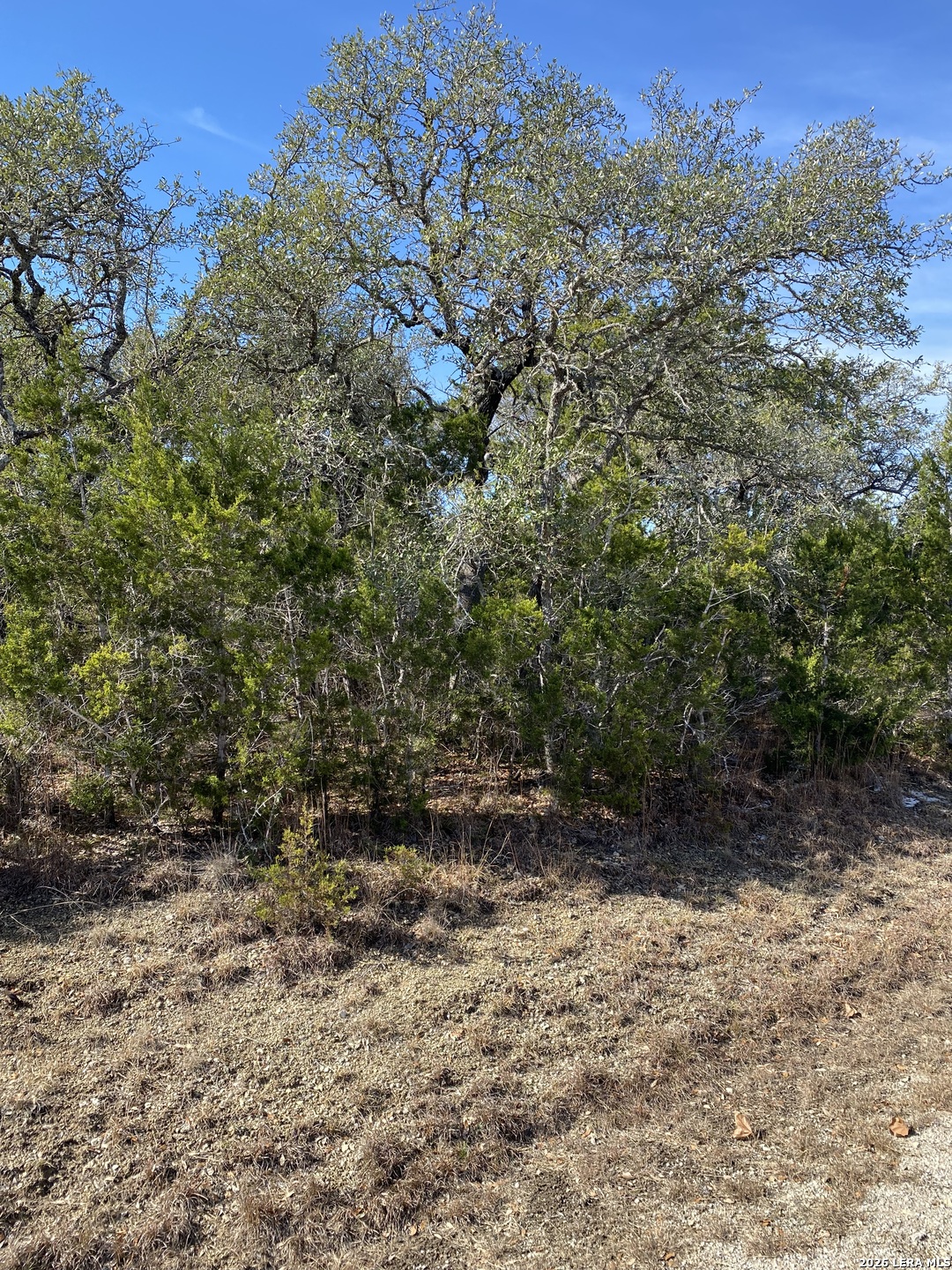 359 Moosehead Spring Branch TX 78070