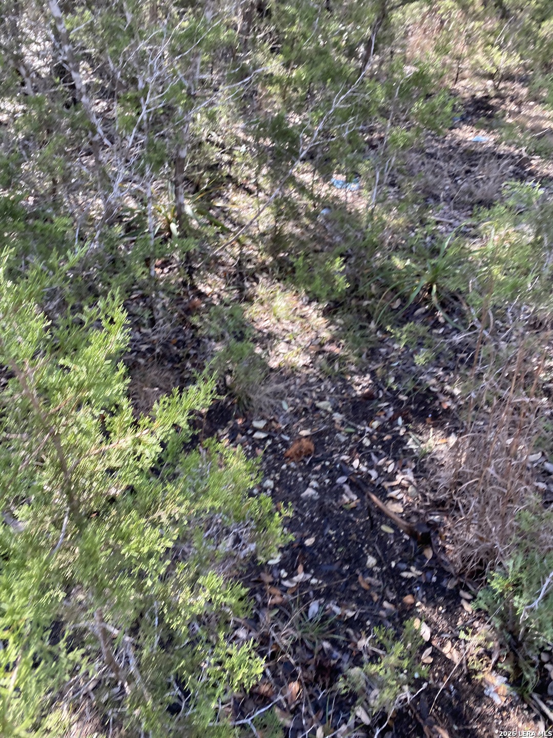 359 Moosehead Spring Branch TX 78070