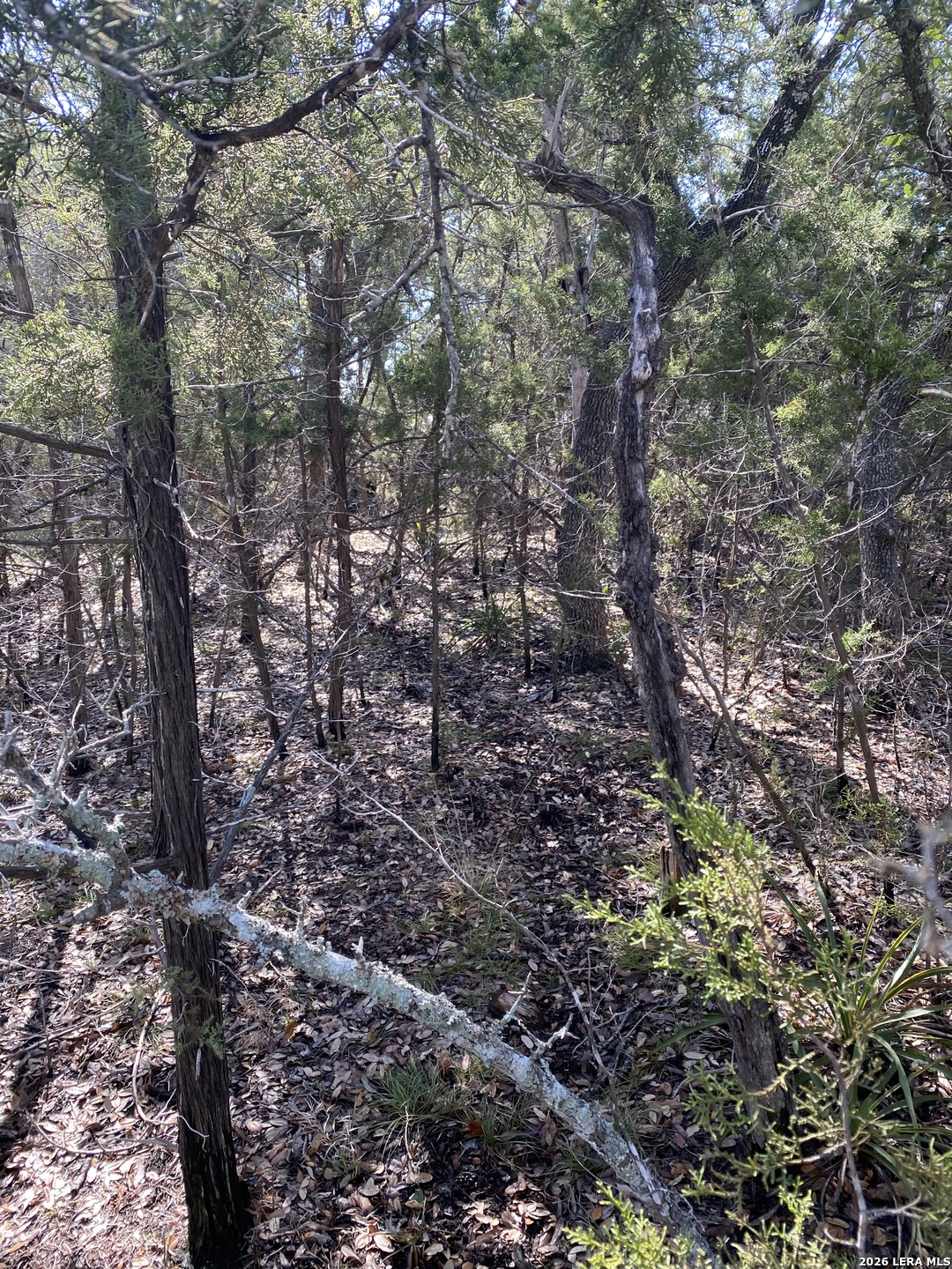 359 Moosehead Spring Branch TX 78070