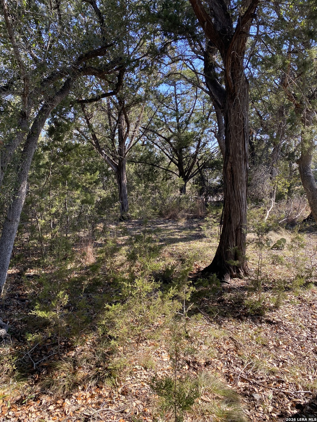 359 Moosehead Spring Branch TX 78070