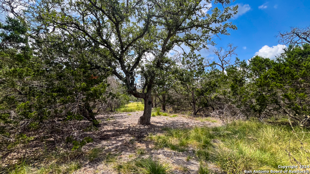 Lot 104 Creekside At Camp Verde Center Point TX 78010