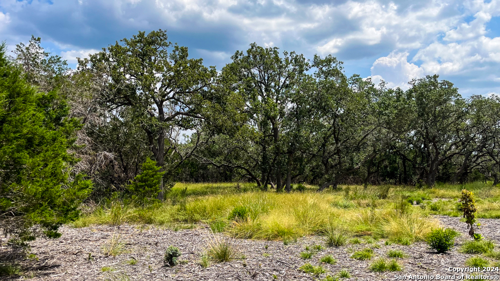 Lot 104 Creekside At Camp Verde Center Point TX 78010