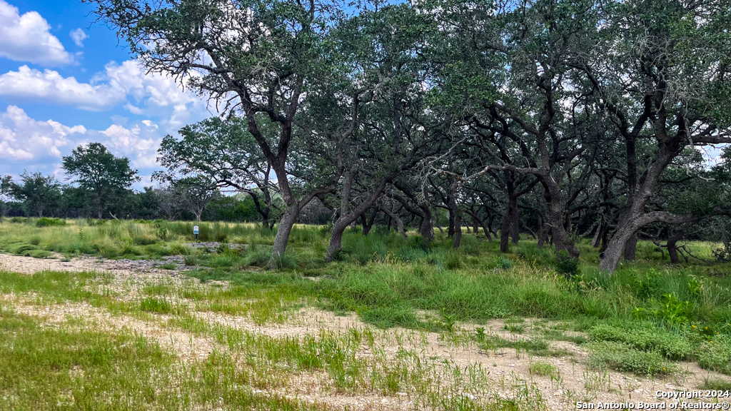 Lot 104 Creekside At Camp Verde Center Point TX 78010