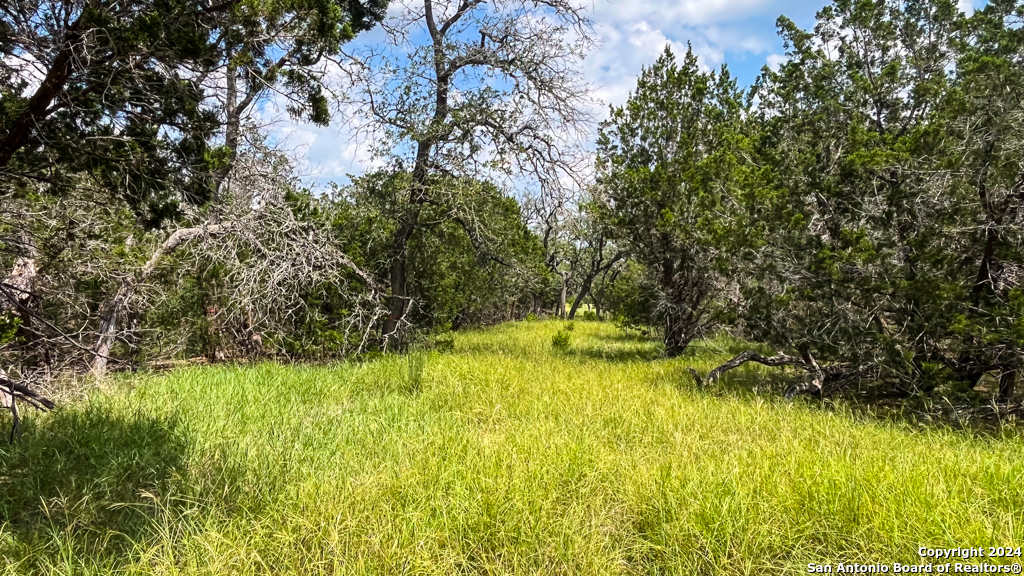 Lot 104 Creekside At Camp Verde Center Point TX 78010