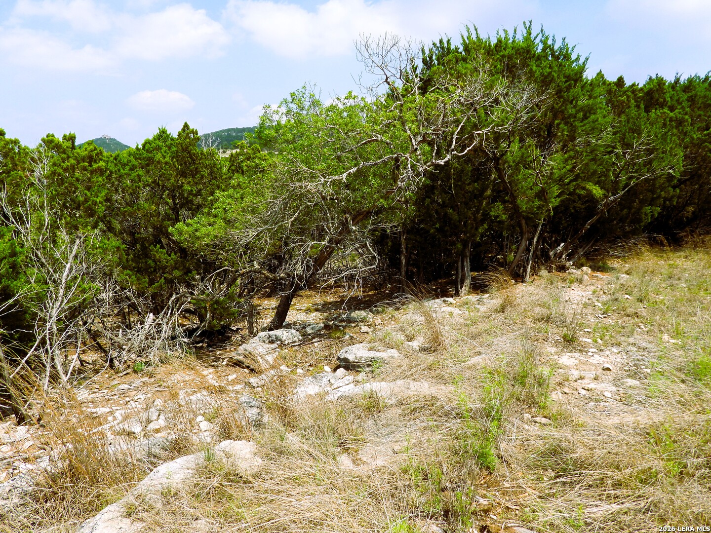 701 S Goat Pipe Creek TX 78063