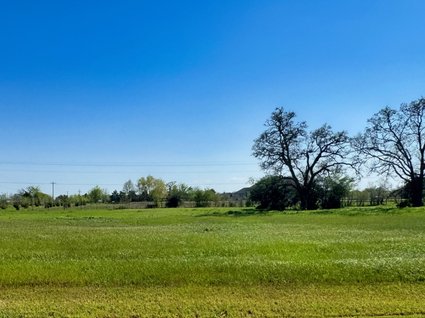 10037 Hidden Pond Drive Iola TX 77861