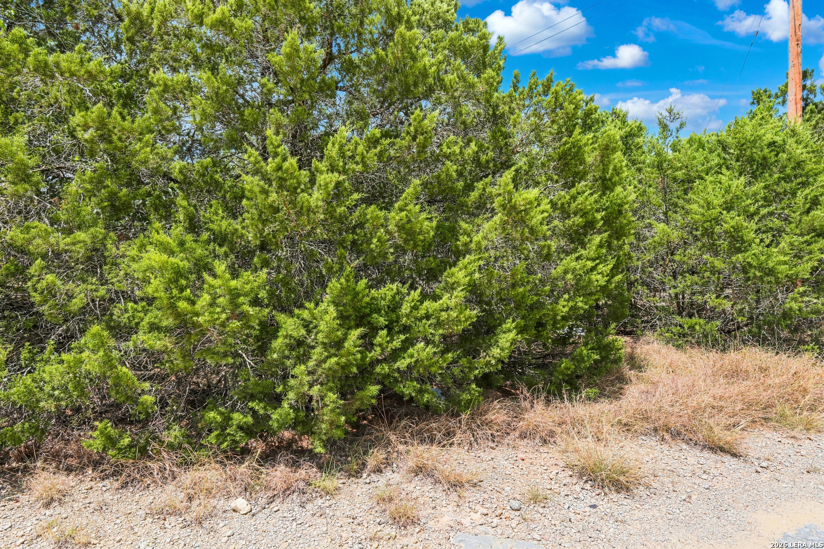 136 Angus Trail Spring Branch TX 78070