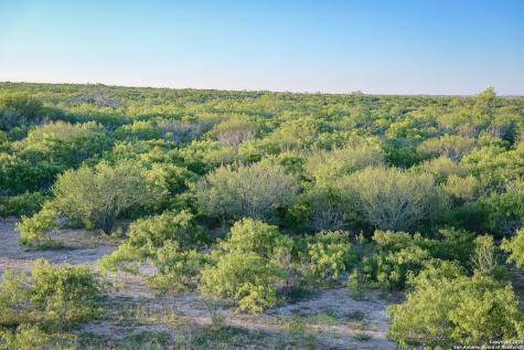 000 County Line Road # 120 Beeville TX 78102