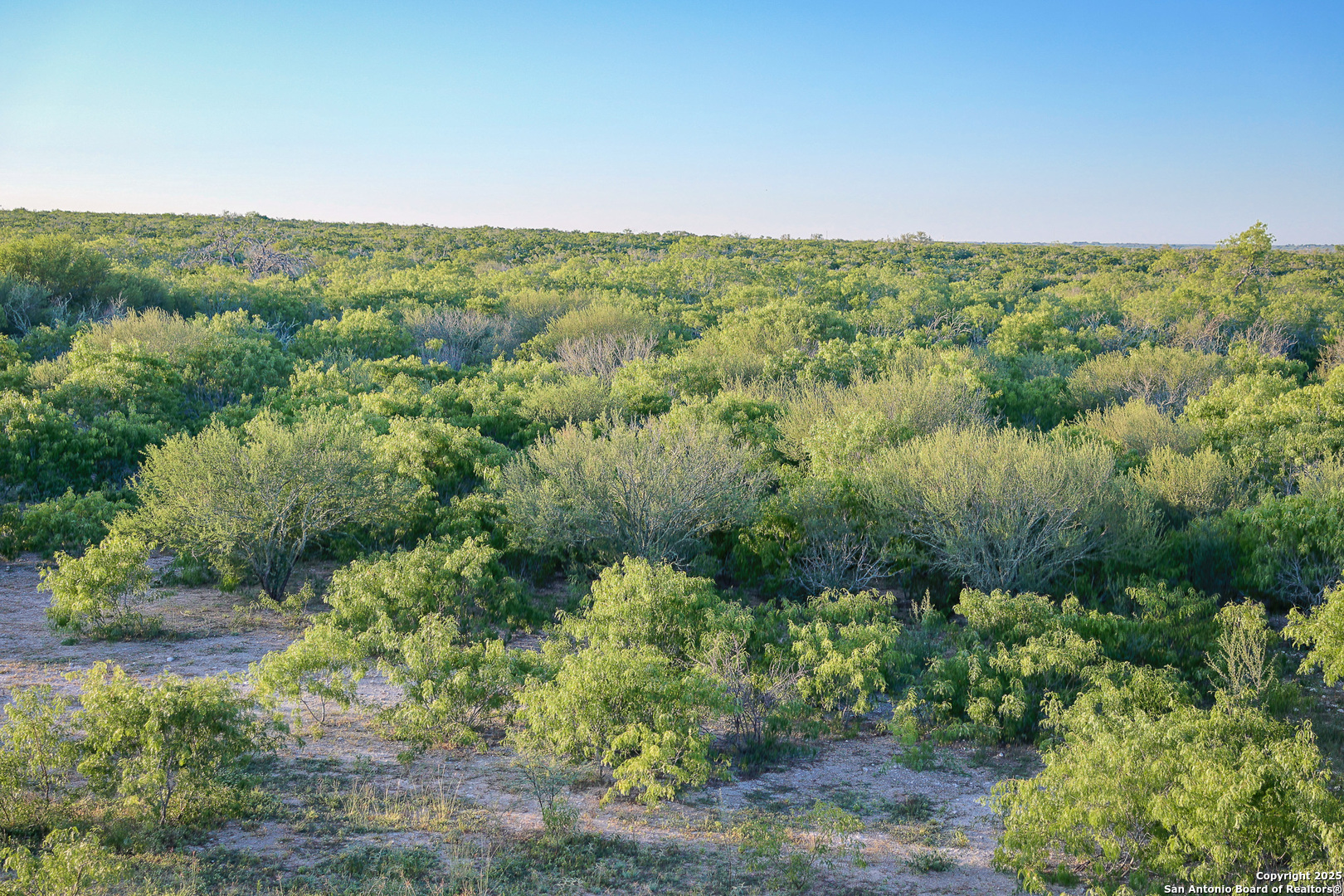 000 County Line Road # 120 Beeville TX 78102