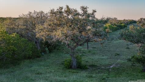 000 County Line Road # 120 Beeville TX 78102
