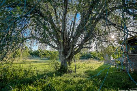 000 County Line Road # 120 Beeville TX 78102