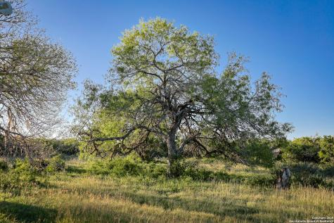 000 County Line Road # 120 Beeville TX 78102