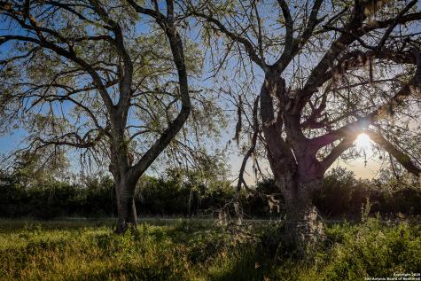 000 County Line Road # 120 Beeville TX 78102