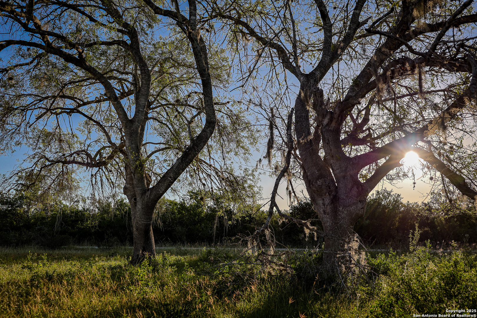 000 County Line Road # 120 Beeville TX 78102