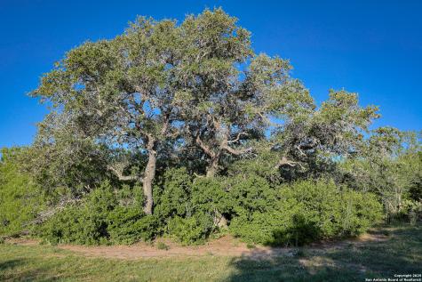 000 County Line Road # 120 Beeville TX 78102