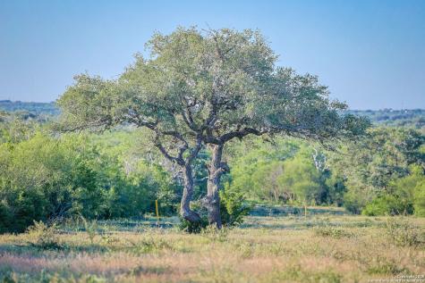 000 County Line Road # 120 Beeville TX 78102