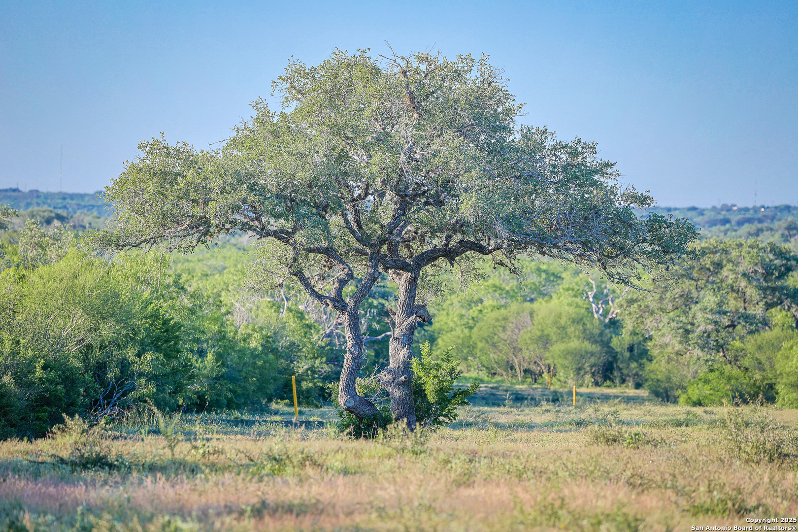 000 County Line Road # 120 Beeville TX 78102