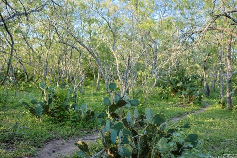 000 County Line Road # 120 Beeville TX 78102